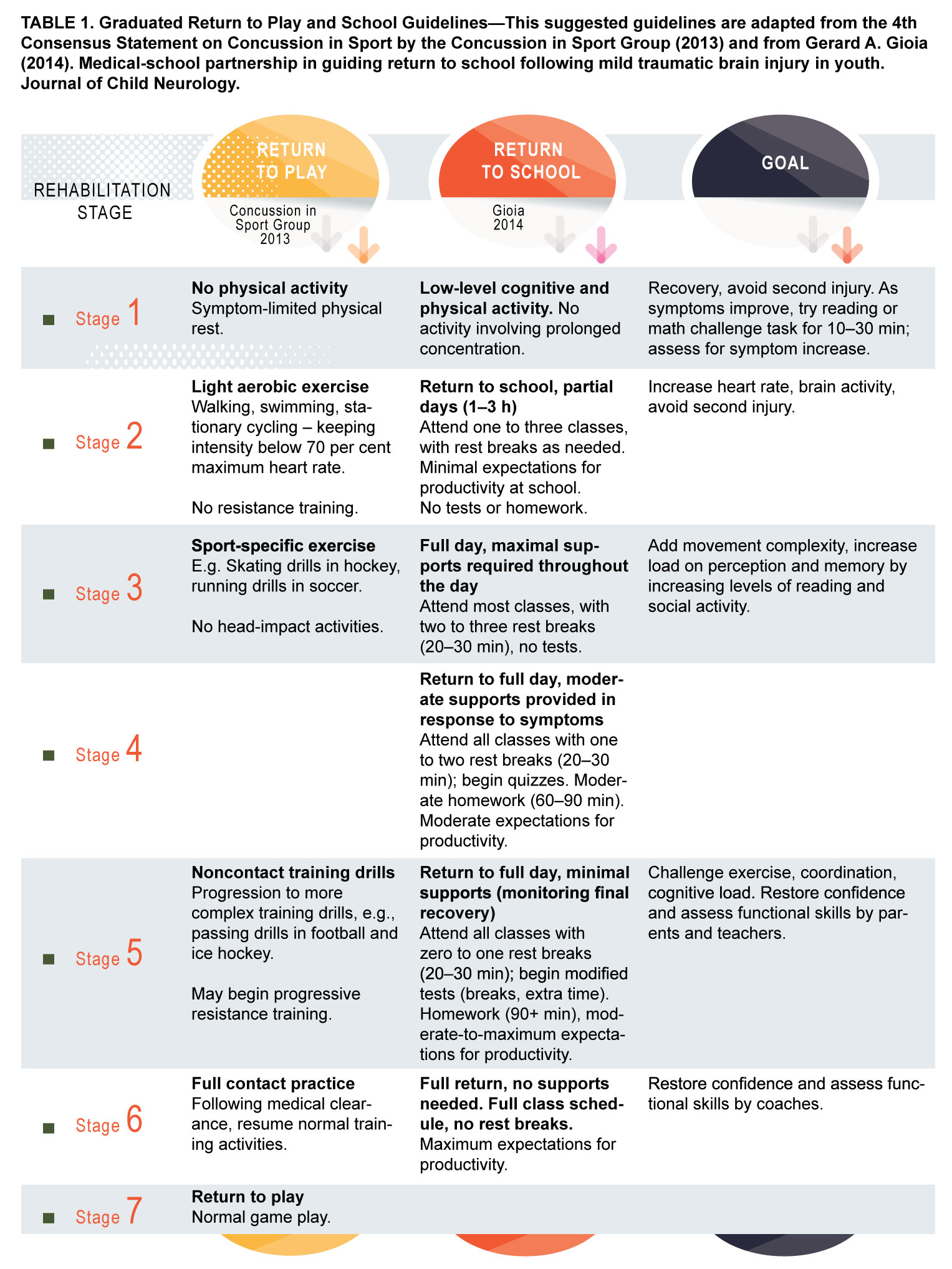 Mild Concussion Recovery Timeline