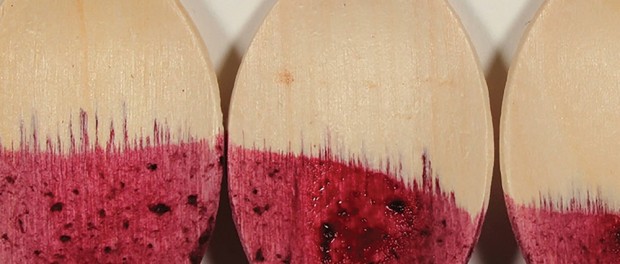 Image of wooden spoons stained by blueberry puree.