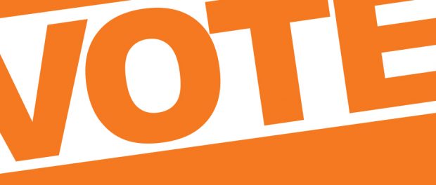 Image with the word vote displayed in an orange colour.